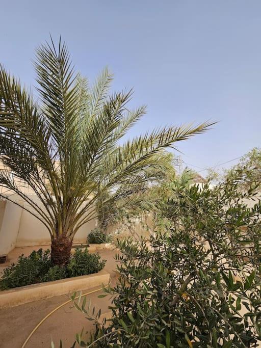 Hadhri Appartement Таузар Экстерьер фото